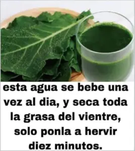 Te seca como una LIP0 y con solo dos ingredientes para la salud