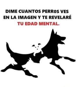 Conoce tu edad mental con esta imagen: Cuántos perros ves en este test visual.