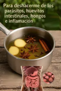La Infusión Natural que Limpia tu Cuerpo para Combatir Parásitos y Hongos