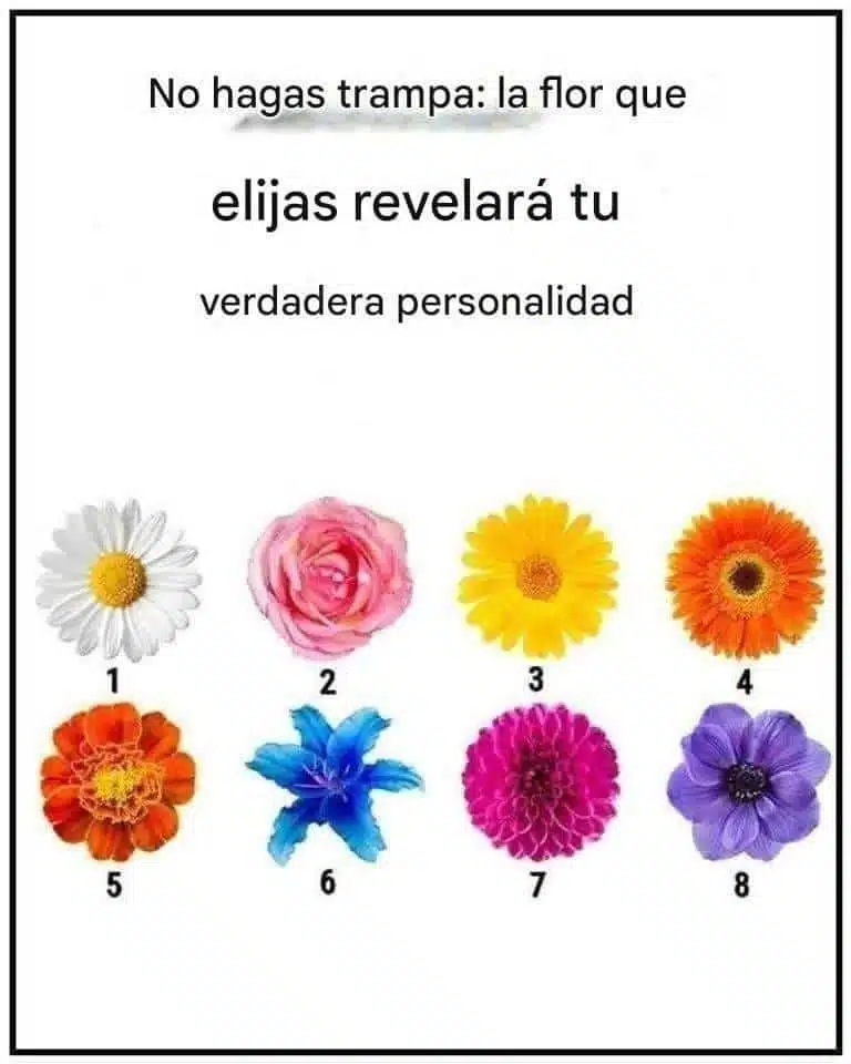 La autenticidad: Tu camino hacia el éxito personal y la felicidad.