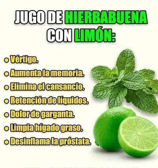 Jugo de Hierbabuena con Limón: El Elixir Natural para una Digestión Óptima