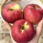 Medicos revelan que comer una manzana cada noche provoca vitalidad