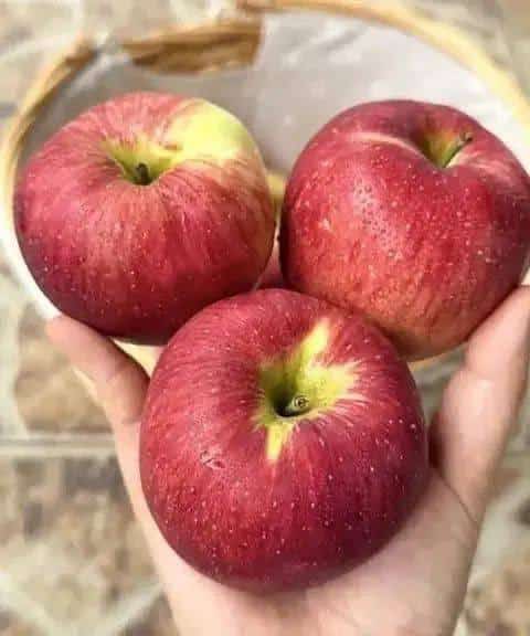 Medicos revelan que comer una manzana cada noche provoca vitalidad