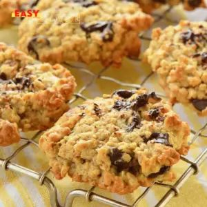 Galettes à l’Avoine et aux Pépites de Chocolat à la Friteuse à Air