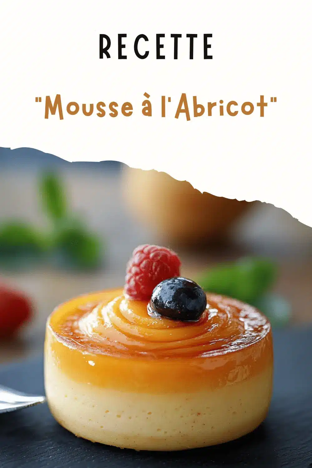Mousse à l'Abricot 2 mousse à l'abricot
